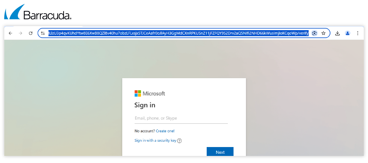 Esempio di pagina di accesso di Sneaky 2FA