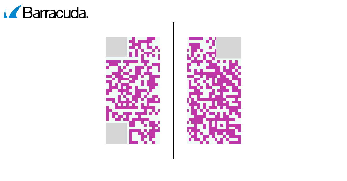 Esempio di un codice QR diviso
