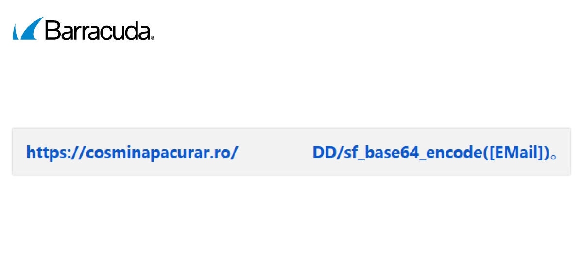 Esempio di come appare un URL con spazi nascosti