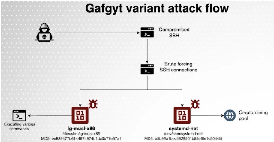 Visual attack flow of Gafgyt botnet malware variant